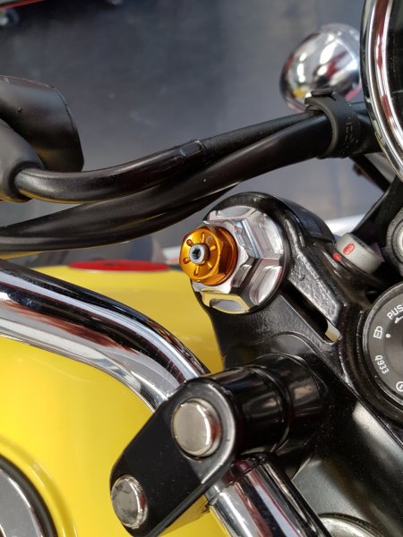 ANDREANI Cartridge für MOTO GUZZI V7 bis 2012 (Marzocchi Gabel)